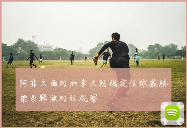 阿菲夫面对加拿大防线定位球威胁能否释放对位观察