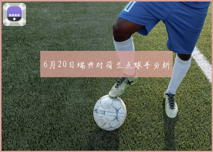 6月20日瑞典对荷兰点球手分析
