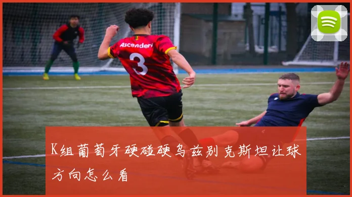 K组葡萄牙硬碰硬乌兹别克斯坦让球方向怎么看